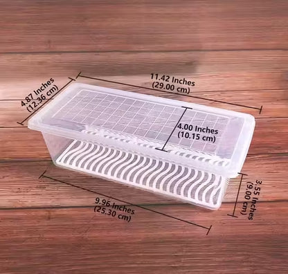 Refrigerator Storage Container